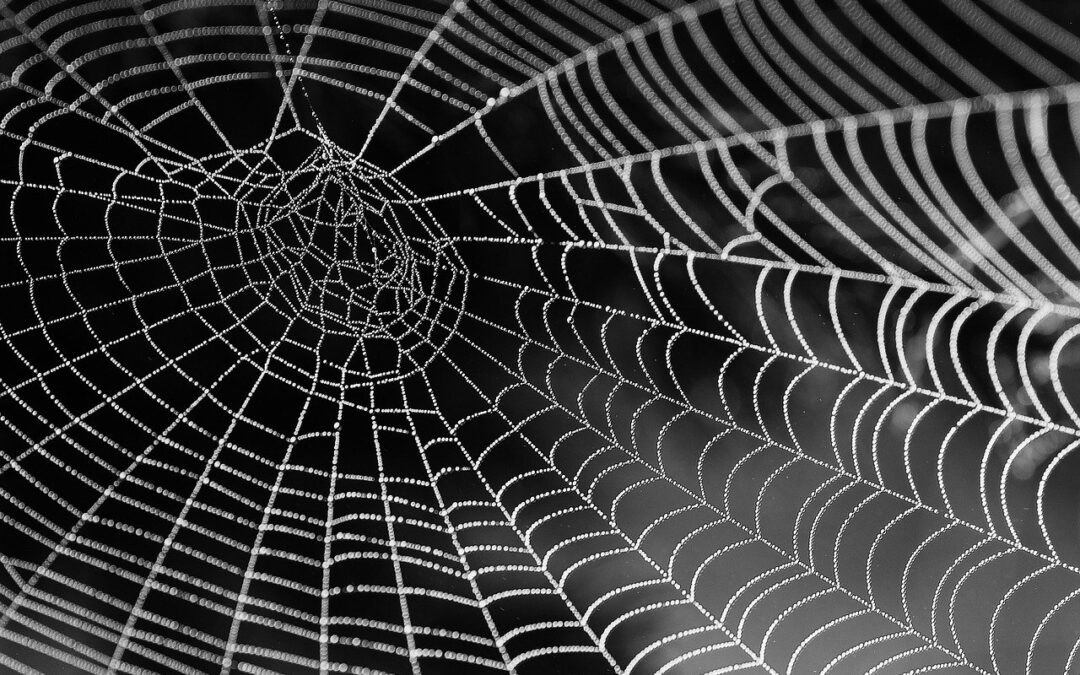 Weaving Webs & Breaking Chains
