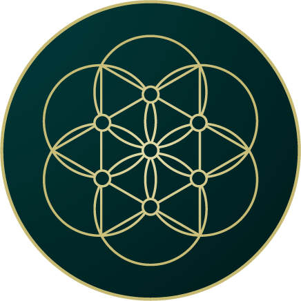 Logo Lyssa Menard